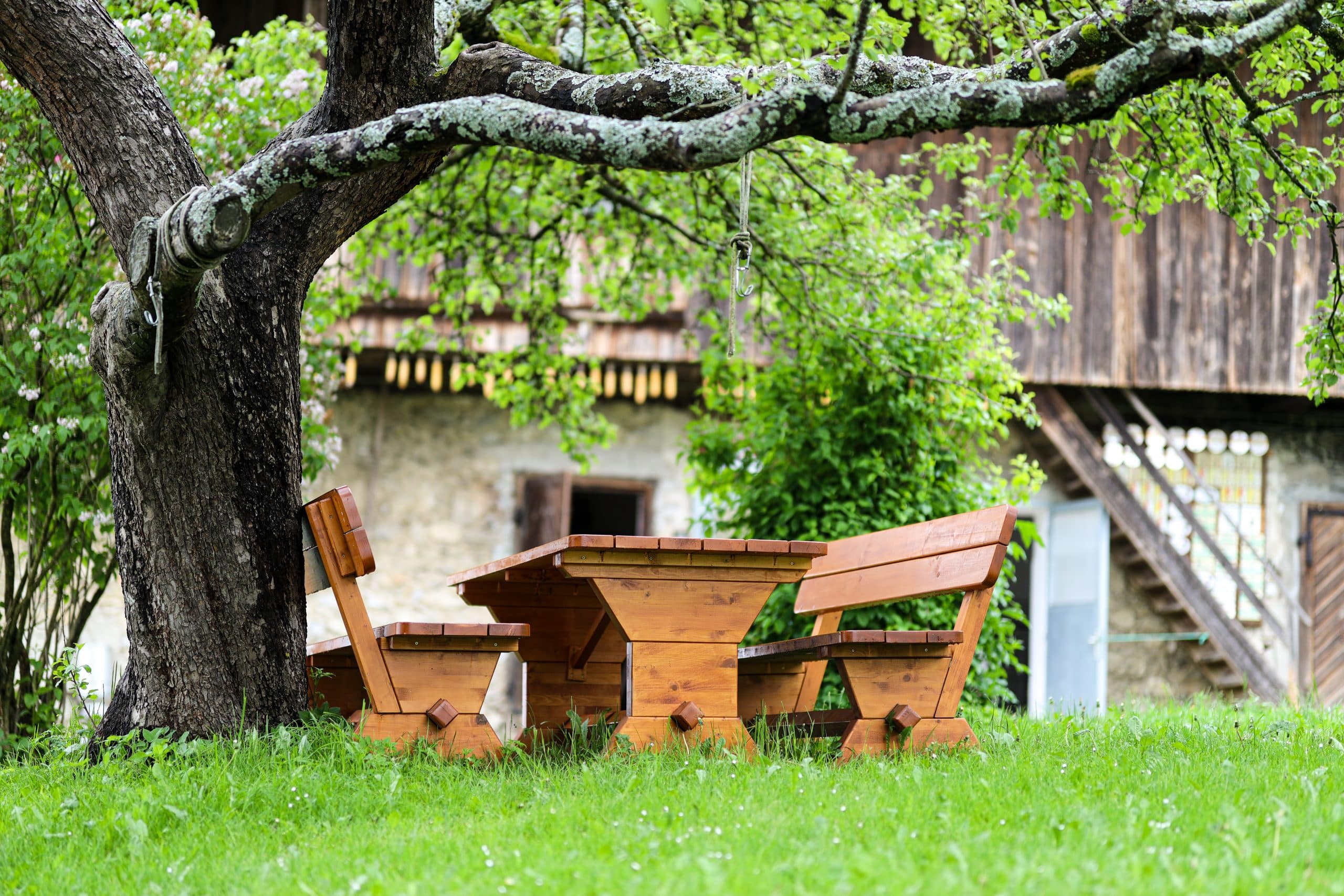 zwanzgerhof-truppe-urlaub-am-bauernhof-1